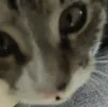 Kumi_Peek
