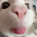 fr Discord emoji