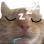 catsleepy Discord emoji