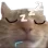 catsleepy