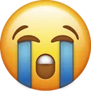 cry