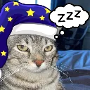 ponder_sleep