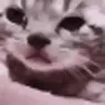 sadCat