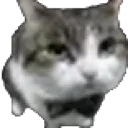 awesome_fucking_cat