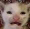 abomination
