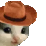 meowdy