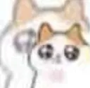 bitchwtf
