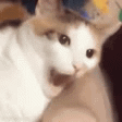 :BITEY:
