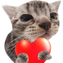 KTKHeart