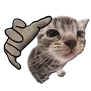 KTKGrab