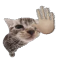 KTKWave
