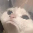 SQui