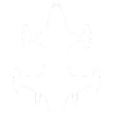 tarantula