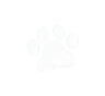 victim.wtf favicon