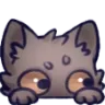 kittypeek