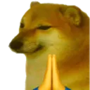 Cheems_pray