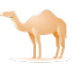 1120092998303236256