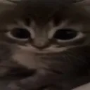 OCirgorbemasoom