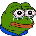 pepeStare