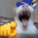 furicatlaugh