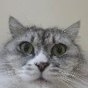 this_vexes_me