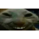 teehee