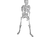 skeleton_fall