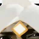 honk5