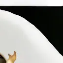 honk6