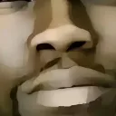 honk8