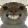 catsmile
