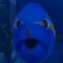 surpriseduni
