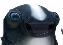 CuddleFish