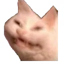 yeet