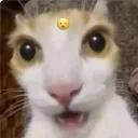 gKrai