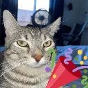 ponder_celebrate