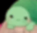 tutle