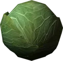 Cabbage