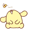 pompom
