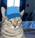 ponder_cap