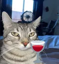 ponder_wine