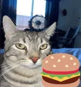ponder_burger