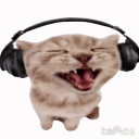 catwithheadphones Discord emoji