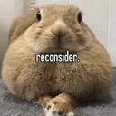 reconsider reconsider