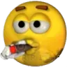GOS_YELLOW_06