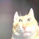 cb_raris_honest_reaction Discord emoji