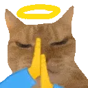 Prayge
