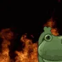 echxanhAburn