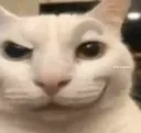 catayo