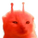 Rlorp